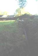 coolross 1375.JPG